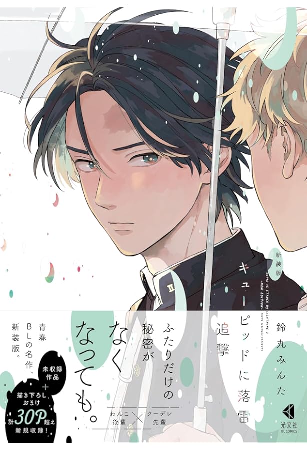 特装版 恋をするつもりはなかった―double― (ホーム社書籍扱コミックス